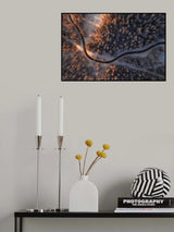 First light Poster och Canvastavla