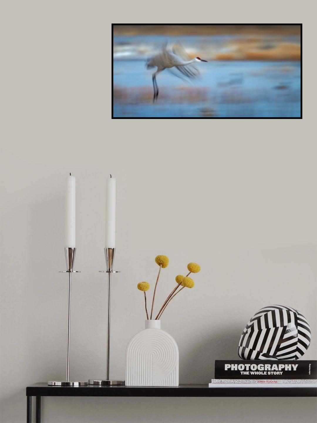 Cruising Poster och Canvastavla