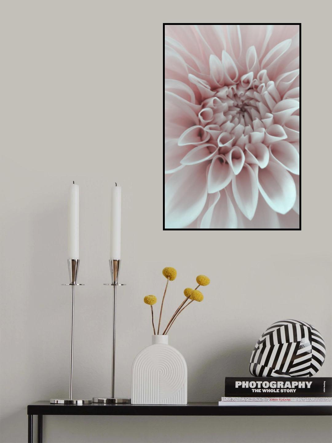 Cafe Au Lait Dahlia Closeup Poster och Canvastavla