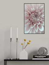 Cafe Au Lait Dahlia Closeup Poster och Canvastavla