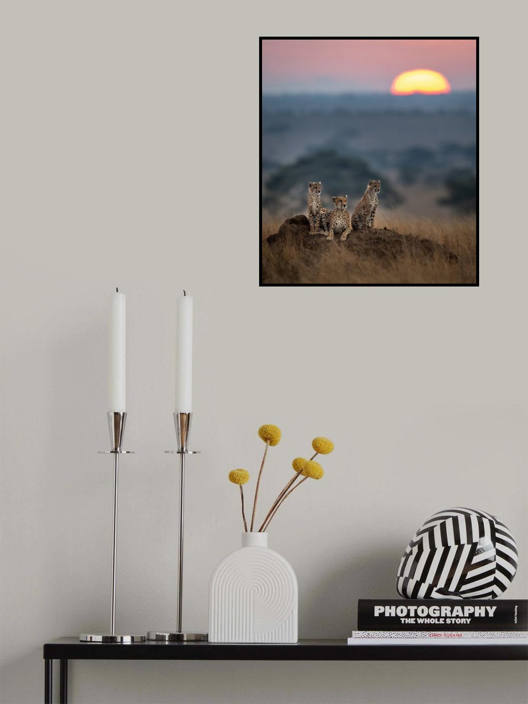 Sunrise Poster och Canvastavla
