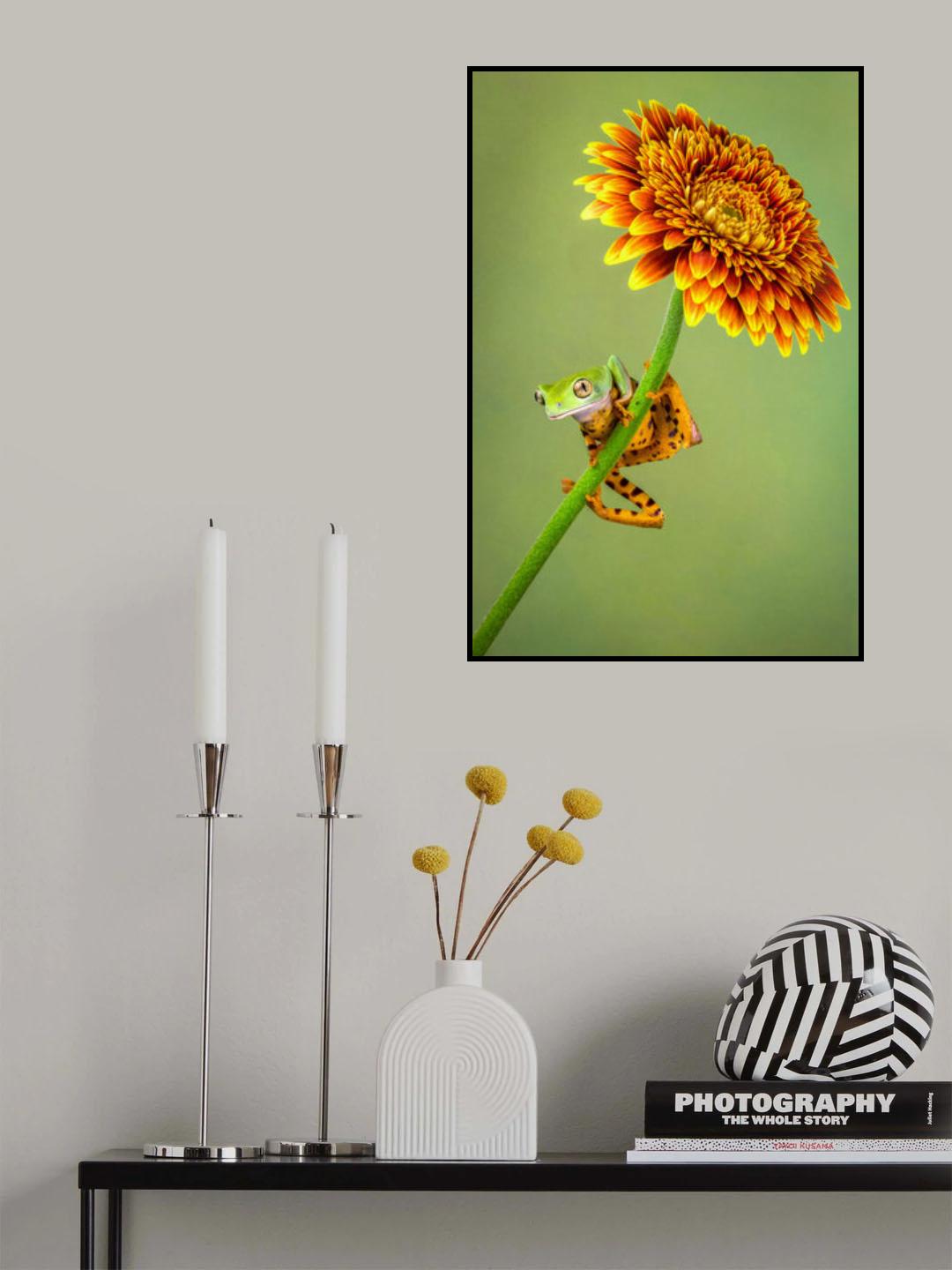Just Hanging Around Poster och Canvastavla
