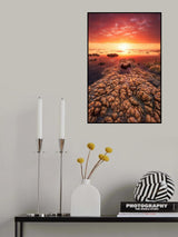 Low tide on the lagoon of Saint Leu. Poster och Canvastavla