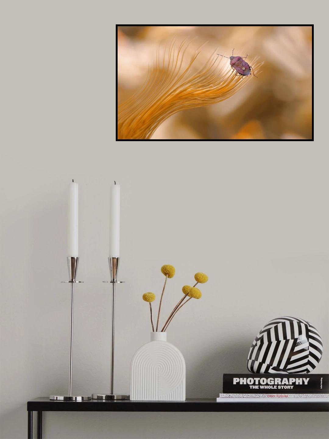 Under the sky on fire... Poster och Canvastavla