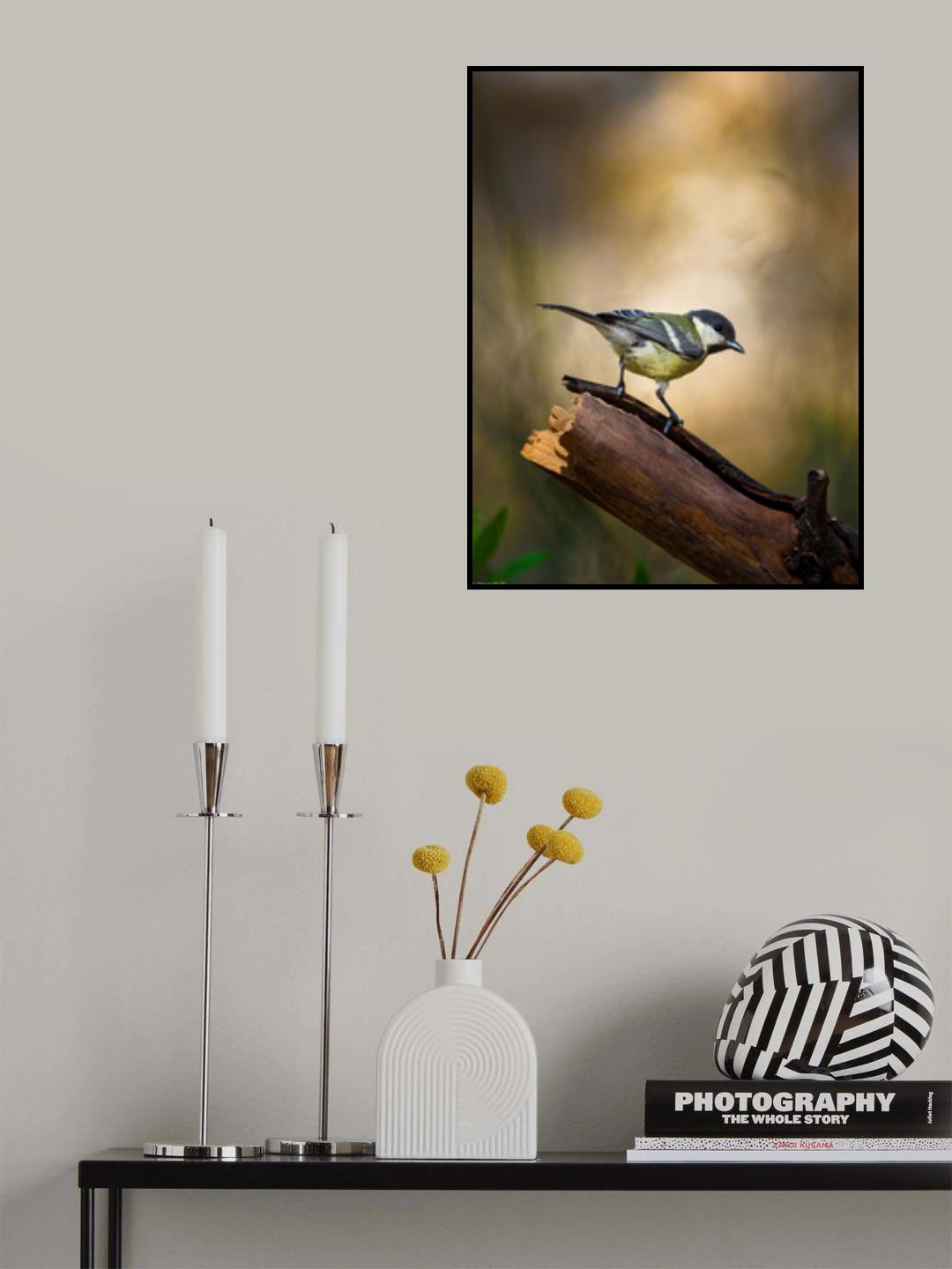 Great Tit Poster och Canvastavla