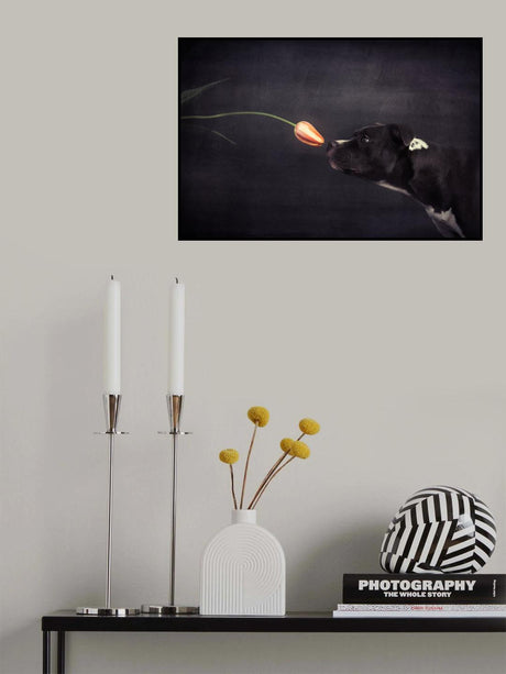 First approach - Hildegard and the tulip Poster och Canvastavla