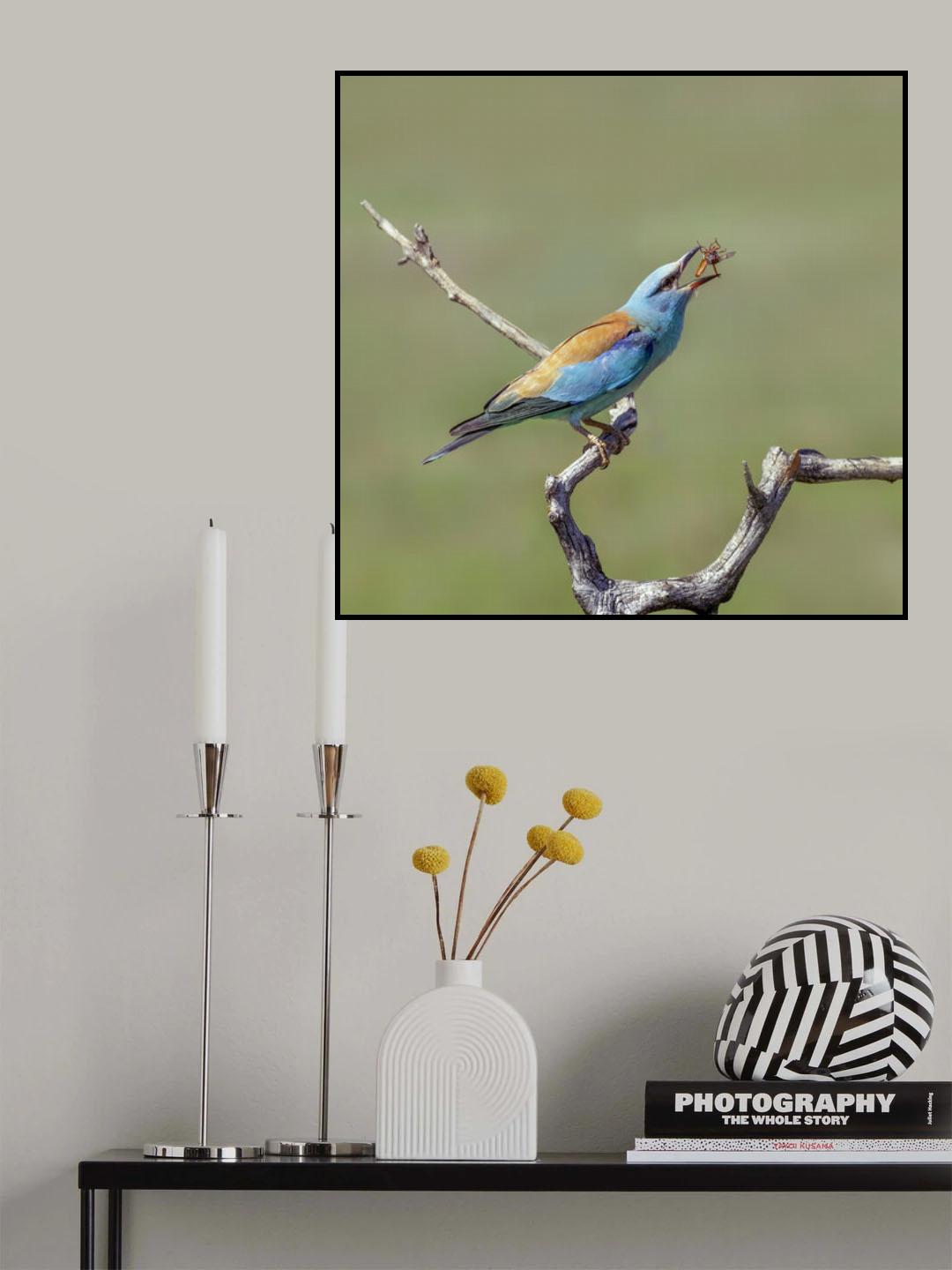 Show-off Poster och Canvastavla