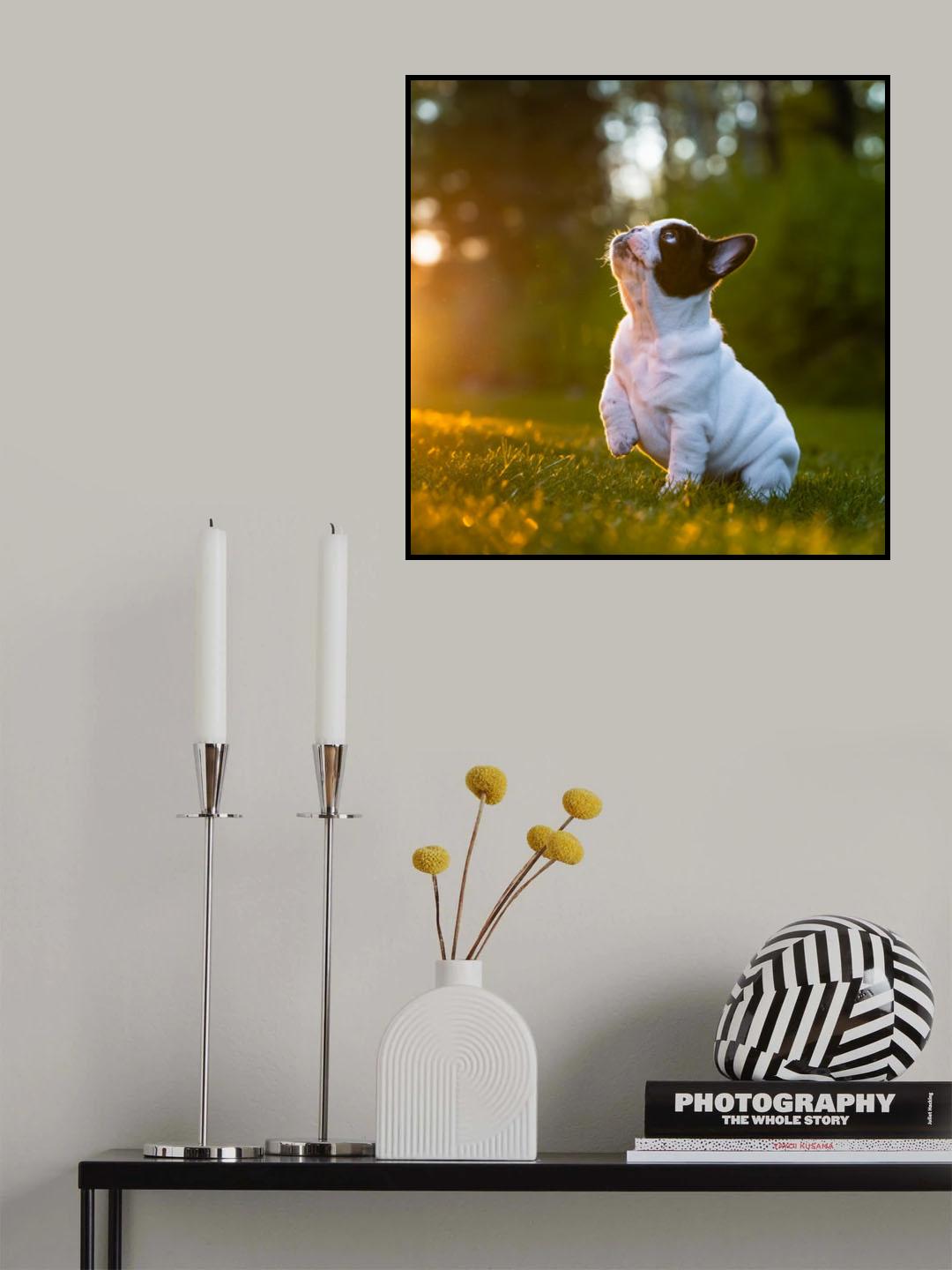 Dora Poster och Canvastavla