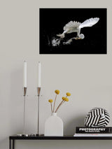 A Wonderful Catch Poster och Canvastavla