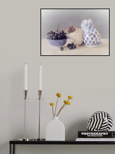 Grapes Poster och Canvastavla
