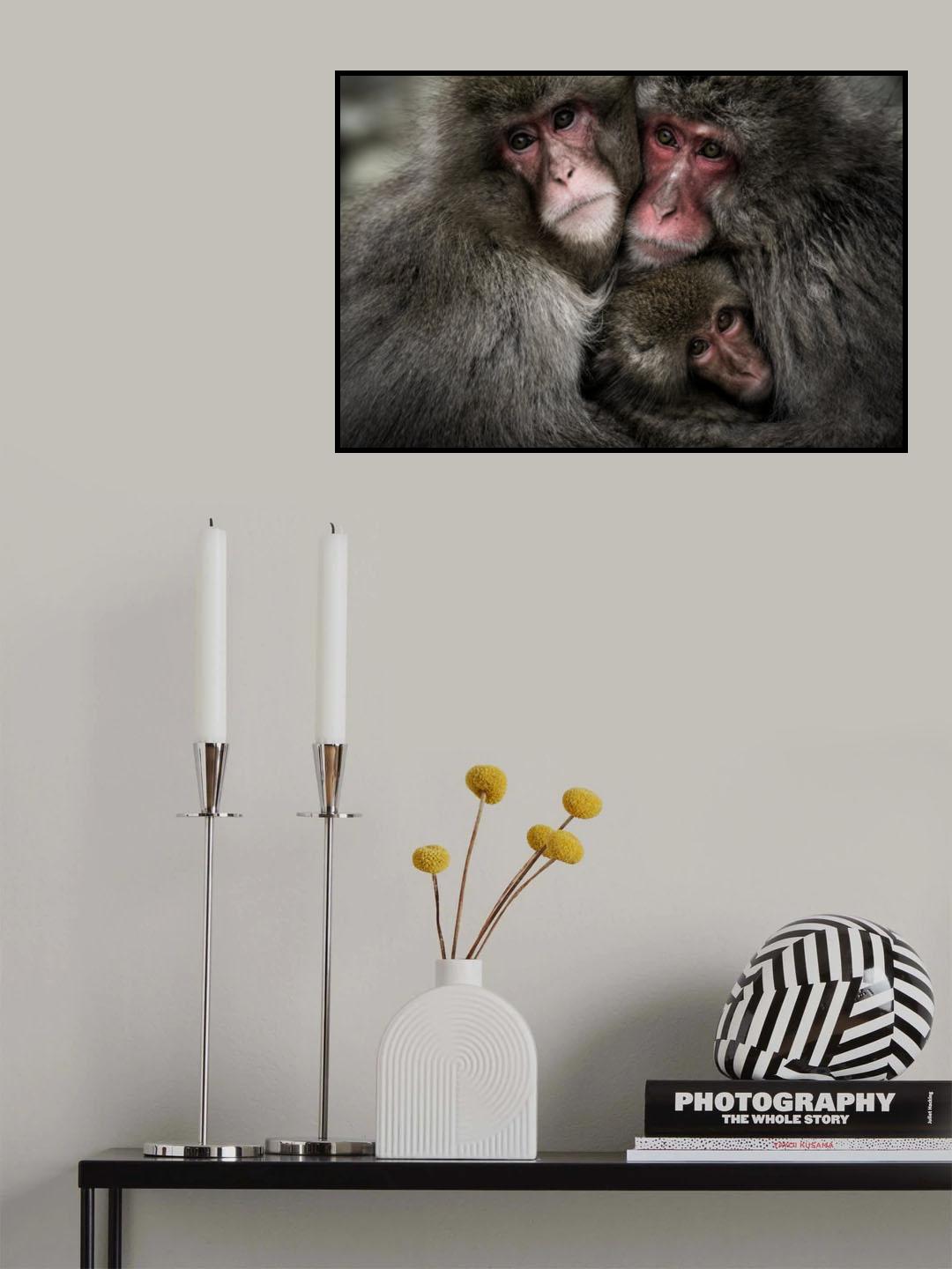 Gaze Poster och Canvastavla
