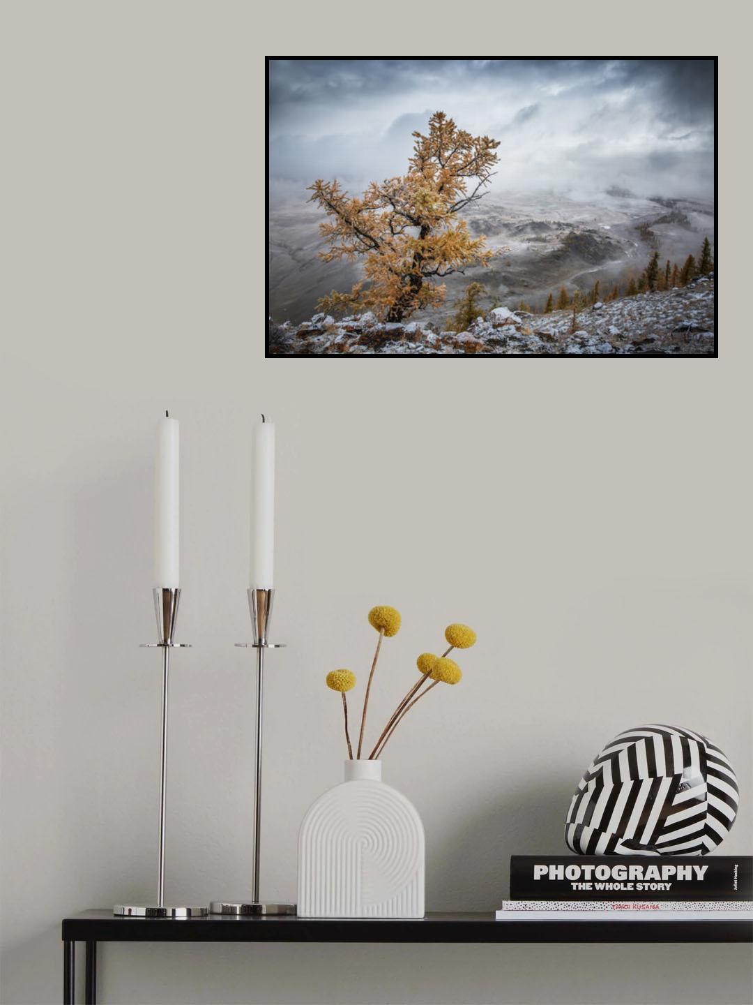 Cold autumn morning in the mountains Poster och Canvastavla