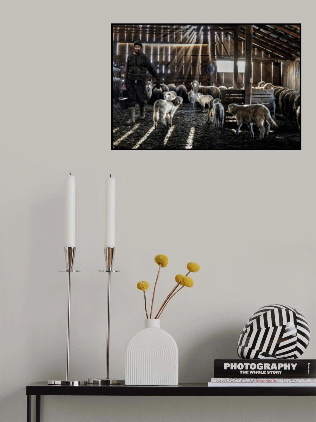 Rays of light in the stable Poster och Canvastavla