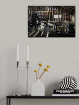 Rays of light in the stable Poster och Canvastavla