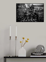 bird Poster och Canvastavla