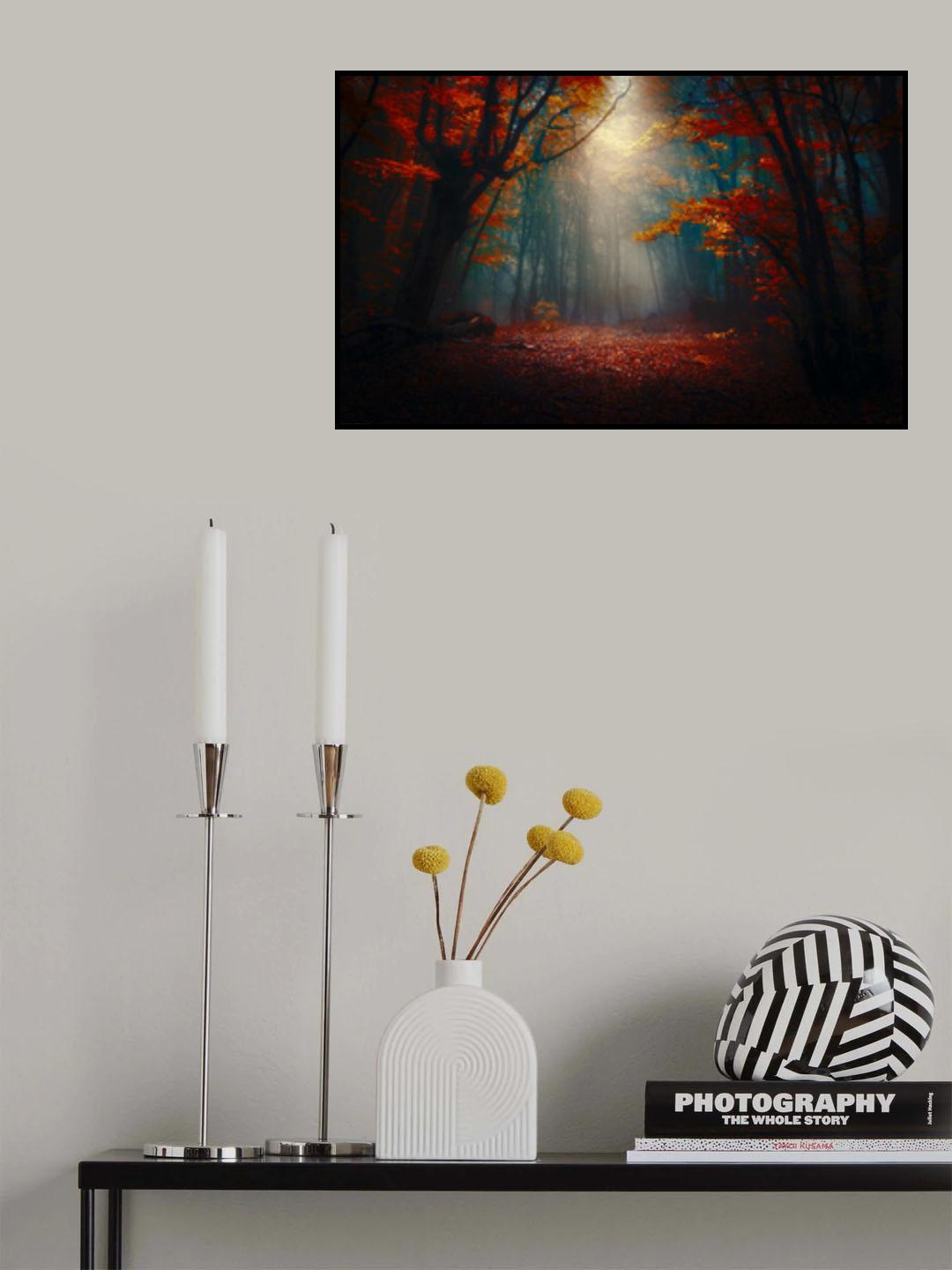 Sunset in the forest Poster och Canvastavla
