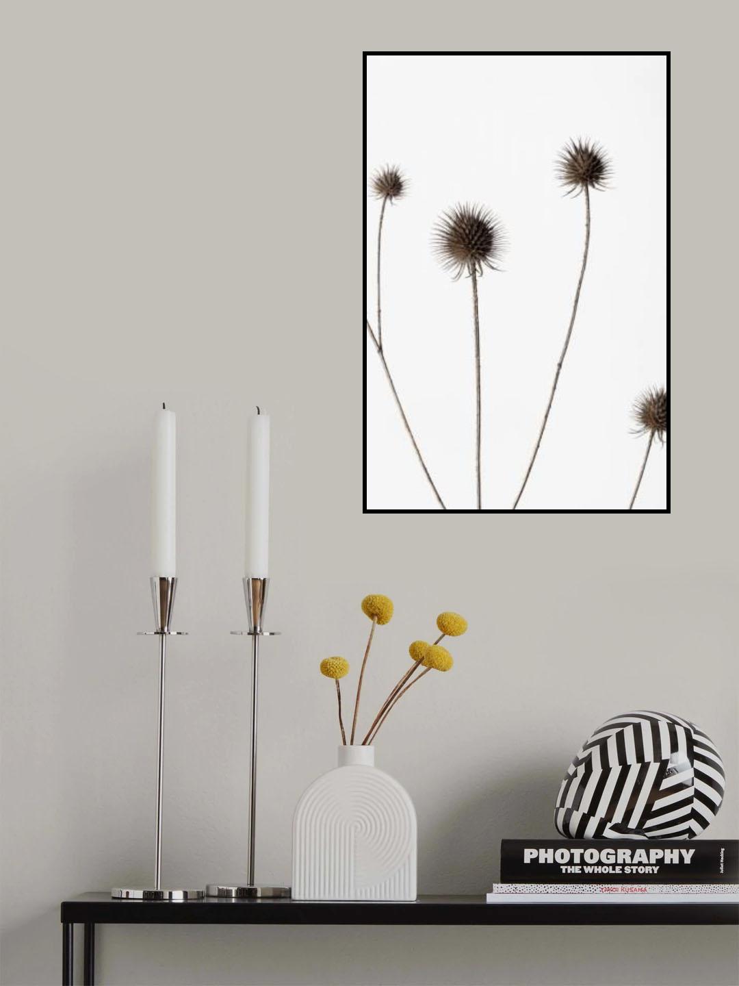Thistle Grey 10 Poster och Canvastavla