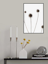 Thistle Grey 10 Poster och Canvastavla