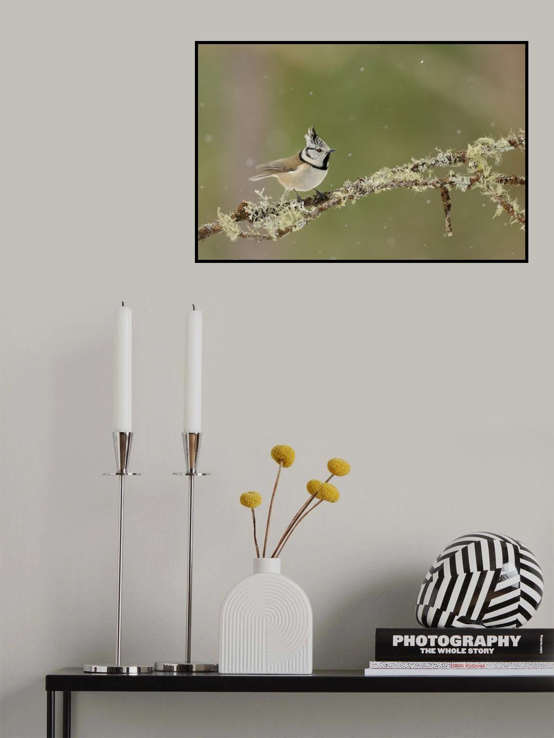 punk tit Poster och Canvastavla