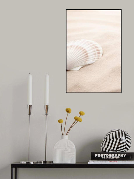 Shell_3 Poster och Canvastavla