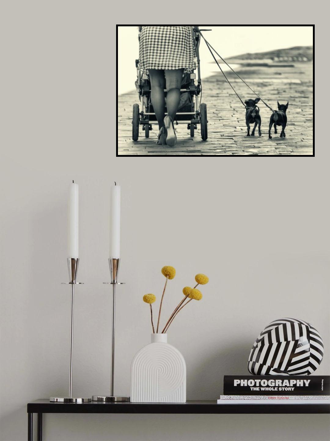 Legs and dogs Poster och Canvastavla