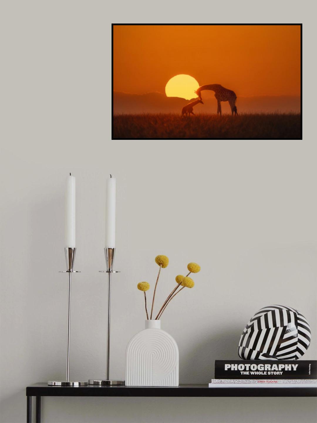 Love Poster och Canvastavla