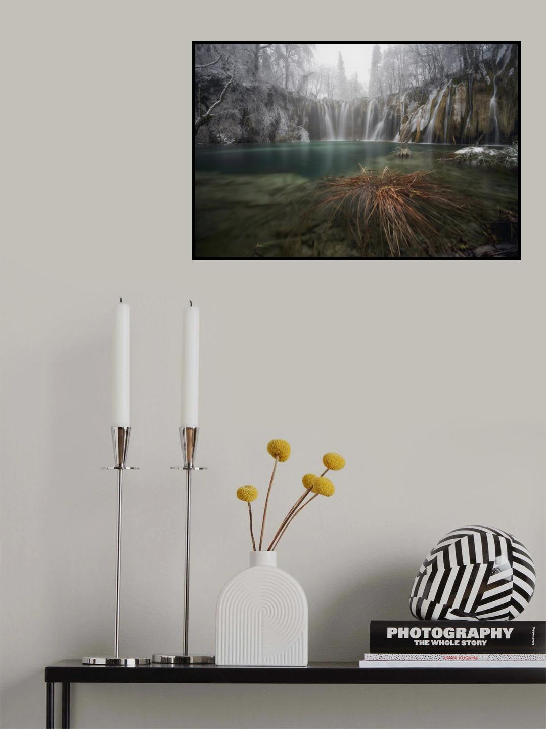 WATERGAMES Poster och Canvastavla