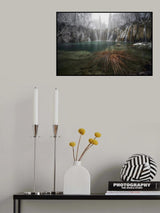 WATERGAMES Poster och Canvastavla