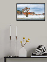 Mist Over Caddo Lake Poster och Canvastavla