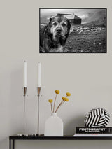My Herd. No trespassing. Poster och Canvastavla