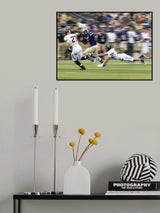 Catch me if you can Poster och Canvastavla