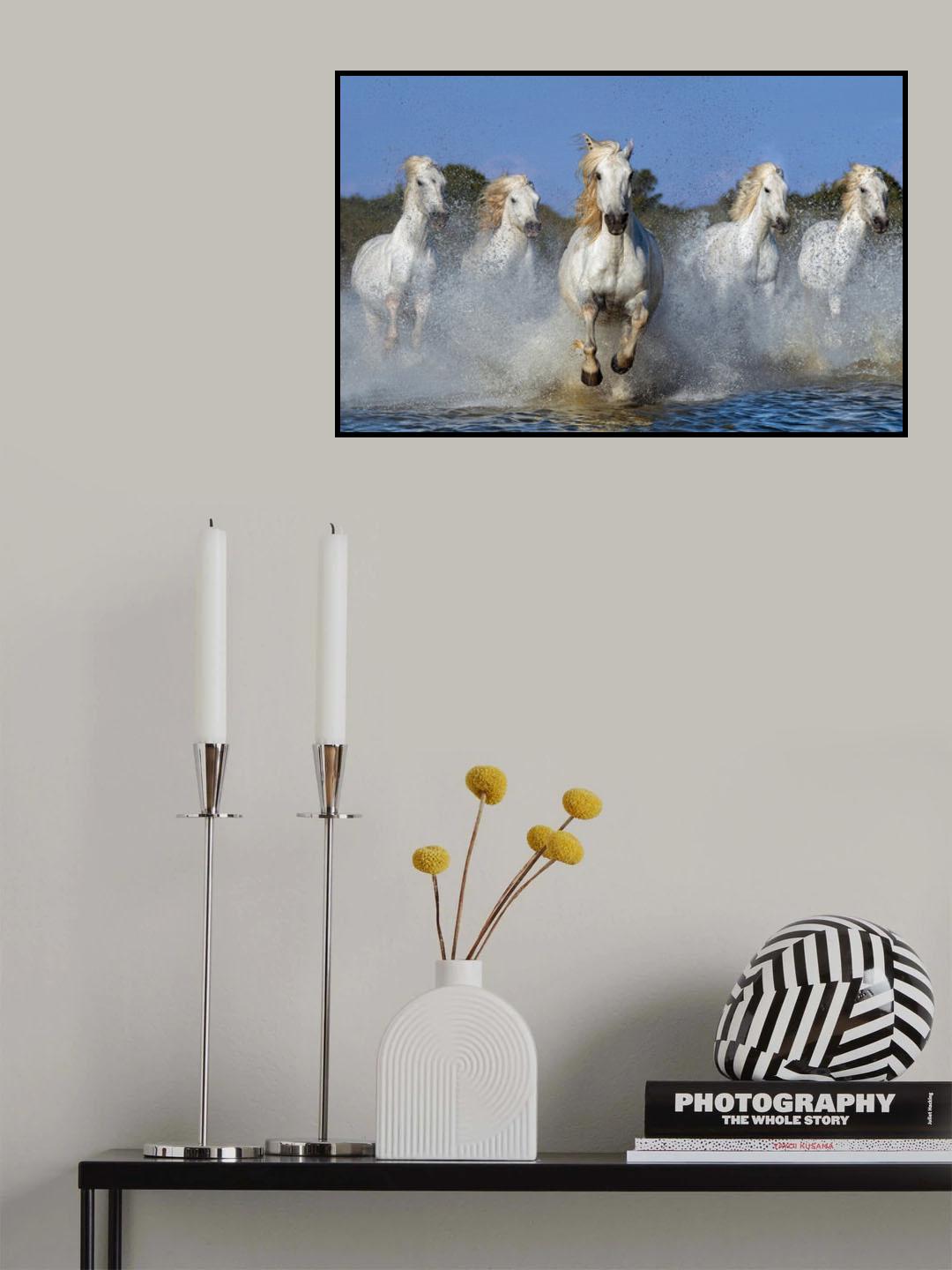 The leader Poster och Canvastavla