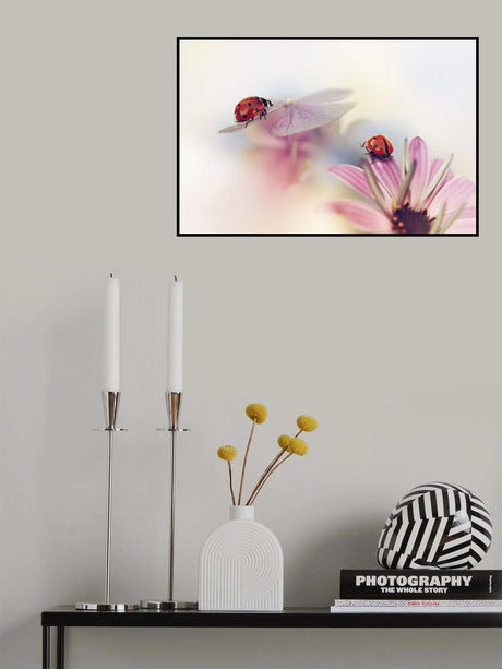 Last days of summer Poster och Canvastavla