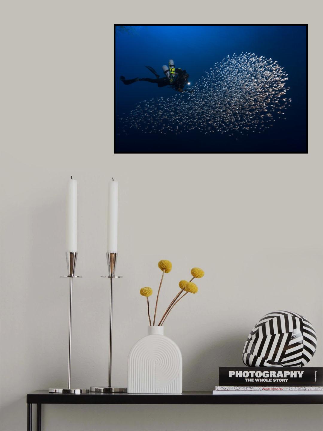Alvin shoal Poster och Canvastavla