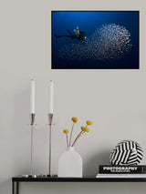 Alvin shoal Poster och Canvastavla