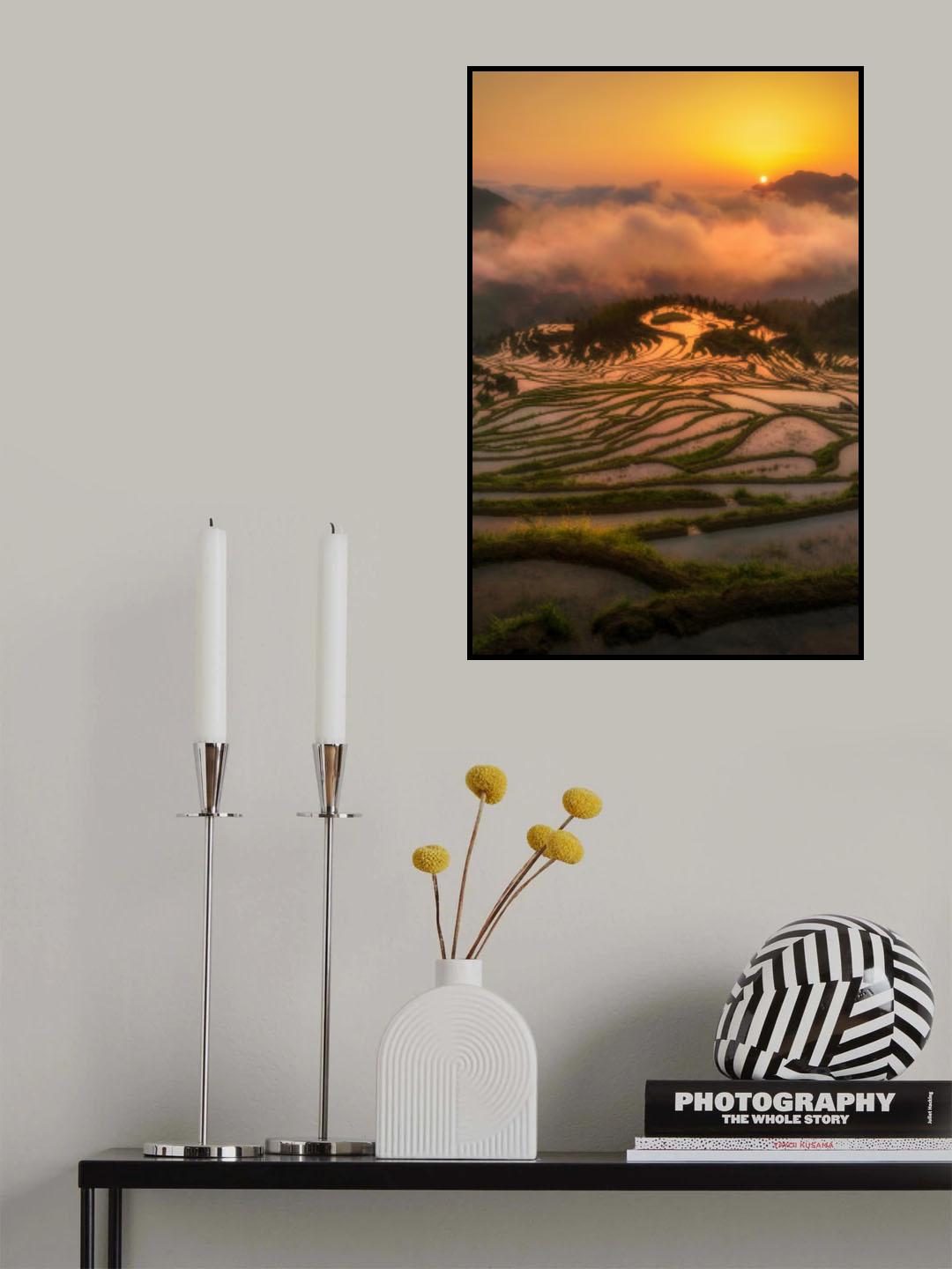 Terraced Fields at Sunrise Poster och Canvastavla
