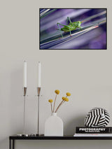 On the border between light and dark... Poster och Canvastavla