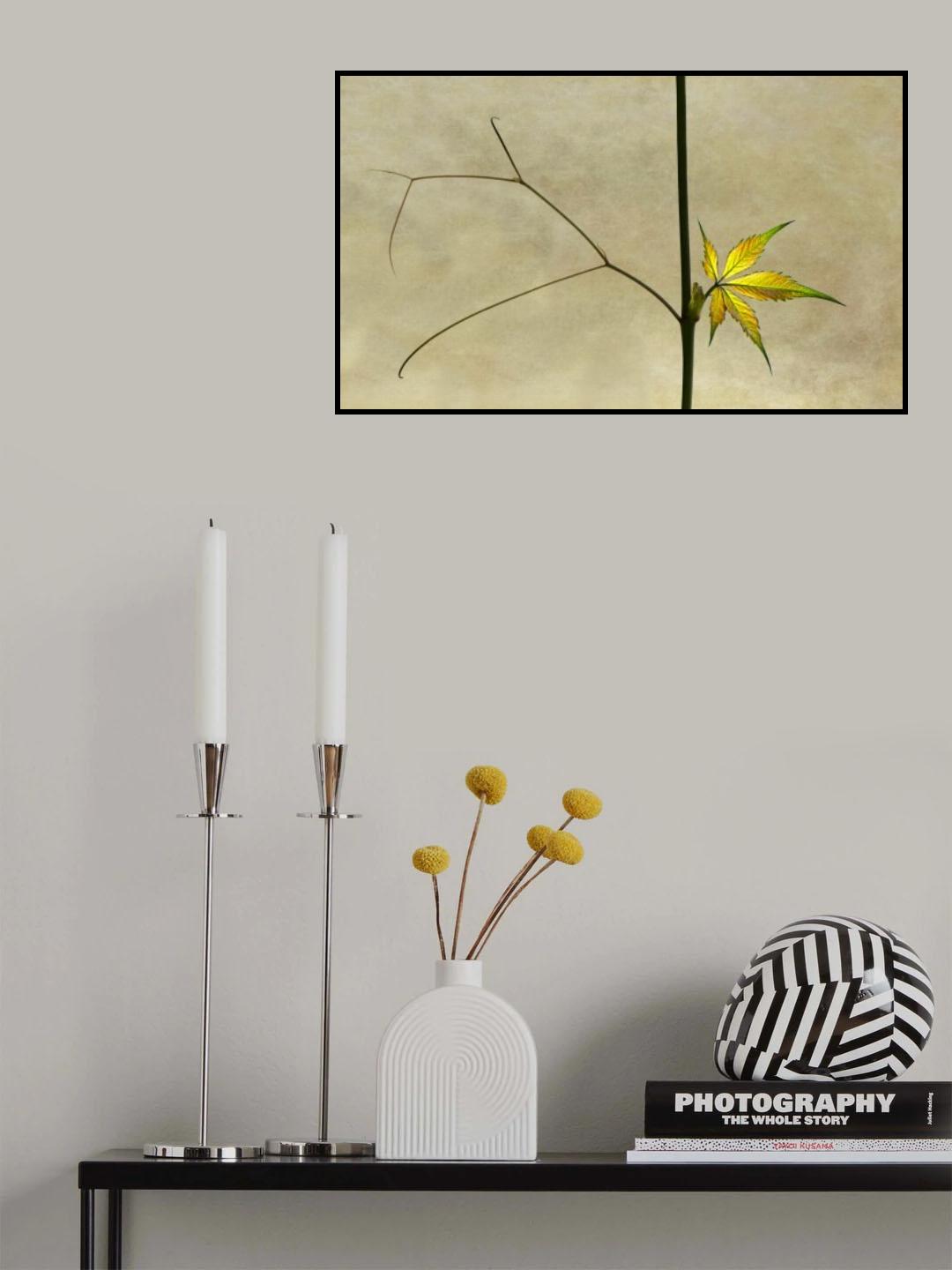 wake up Poster och Canvastavla