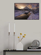 Tangle Lights Poster och Canvastavla