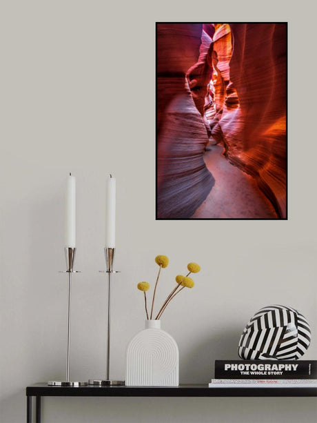 The curves and colors of nature Poster och Canvastavla