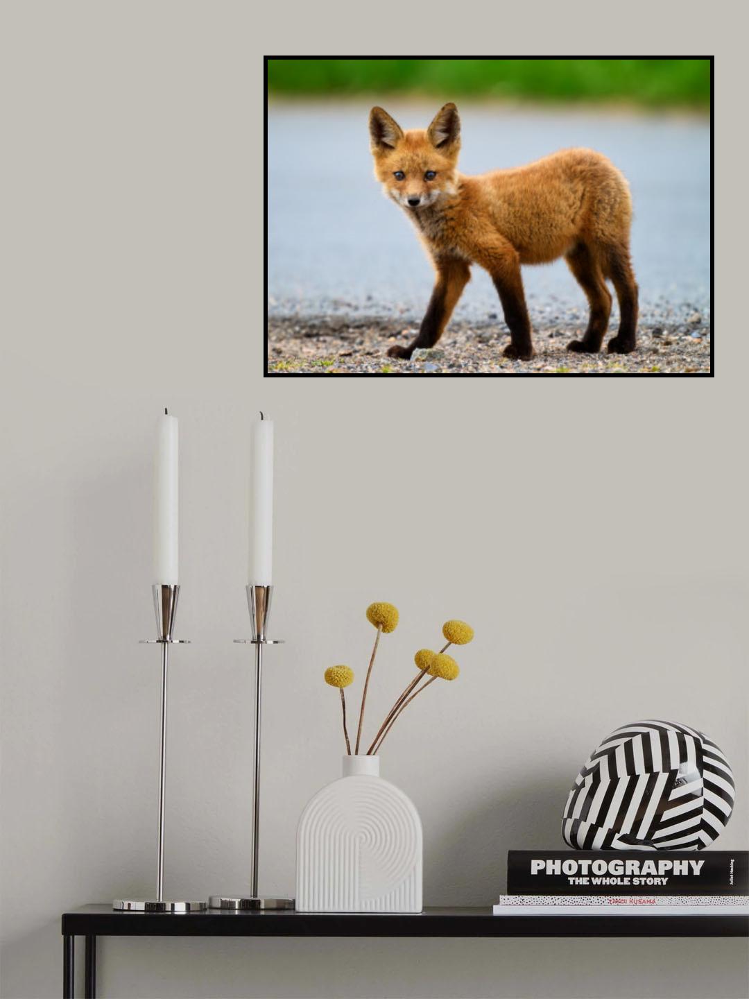 Red Fox Poster och Canvastavla