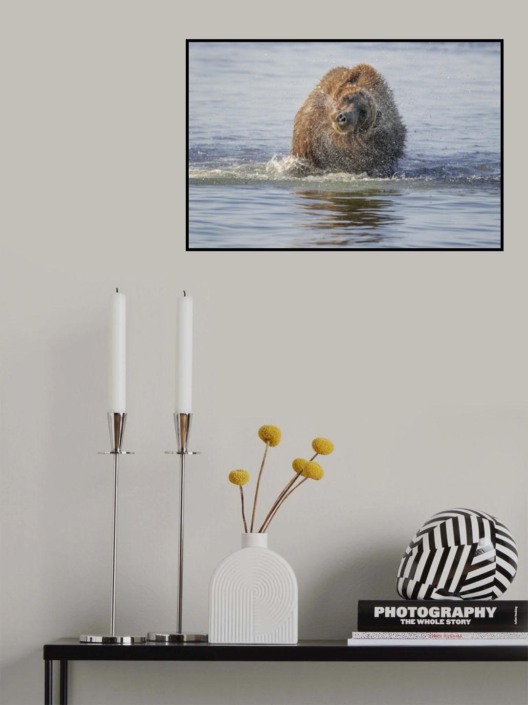 Shake it Poster och Canvastavla