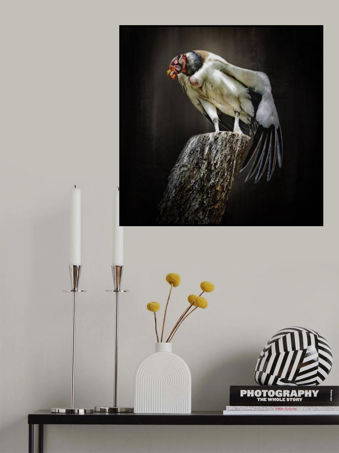 exotic bird Poster och Canvastavla
