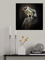 exotic bird Poster och Canvastavla