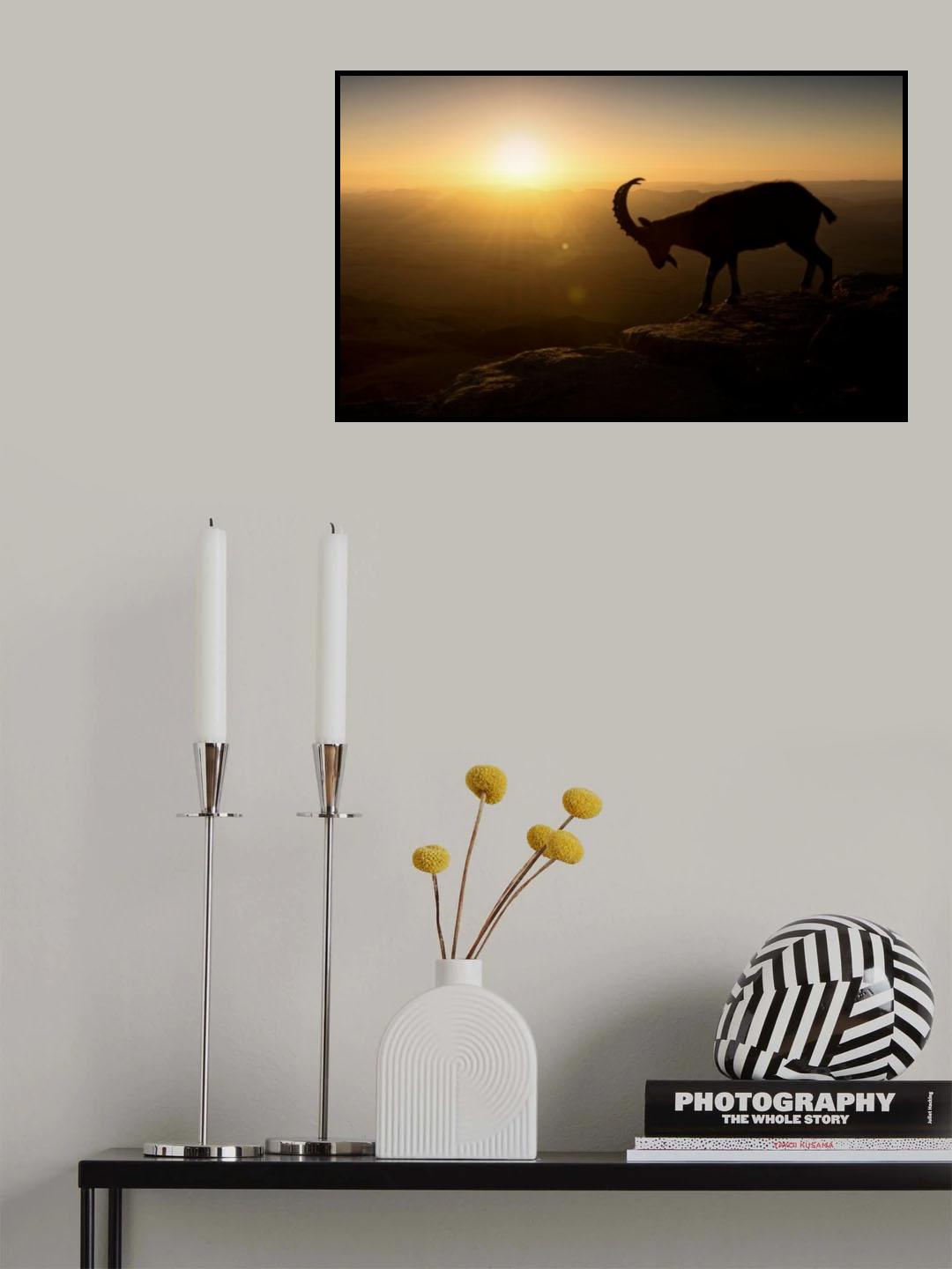 Desert Wanderer Poster och Canvastavla