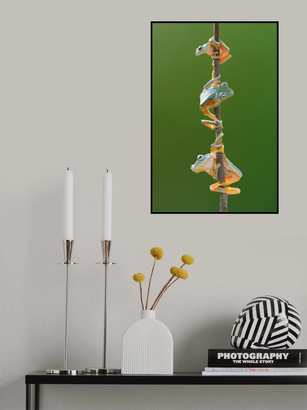 Three Flying Frog Poster och Canvastavla