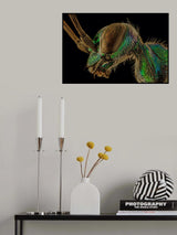 Alien Smile Poster och Canvastavla