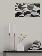 Sea Shells Detail No 5 Poster och Canvastavla