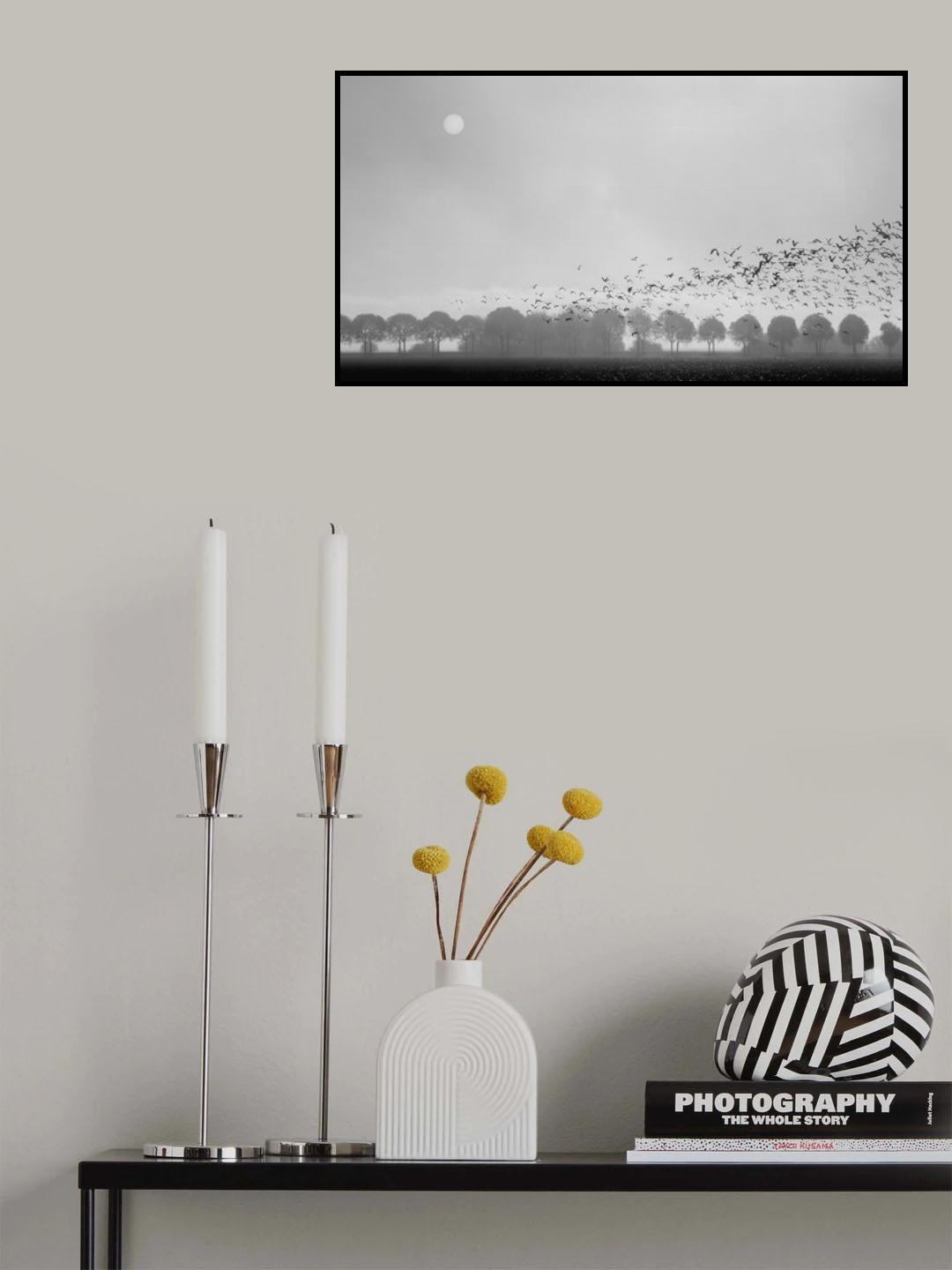 There comes the sun Poster och Canvastavla