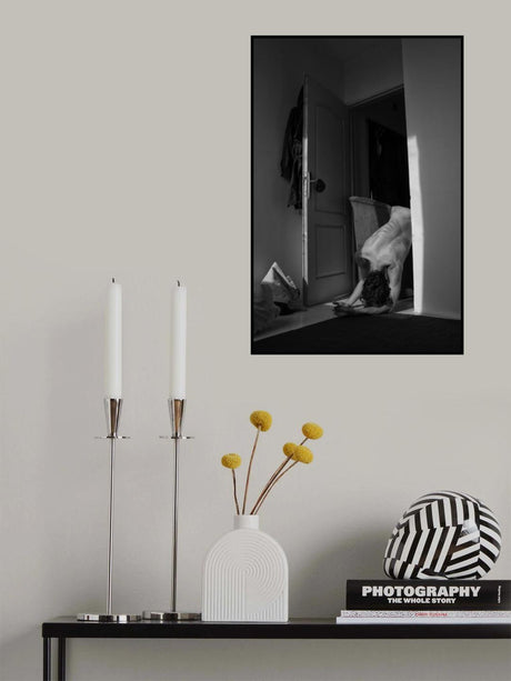 Alone at home Poster och Canvastavla